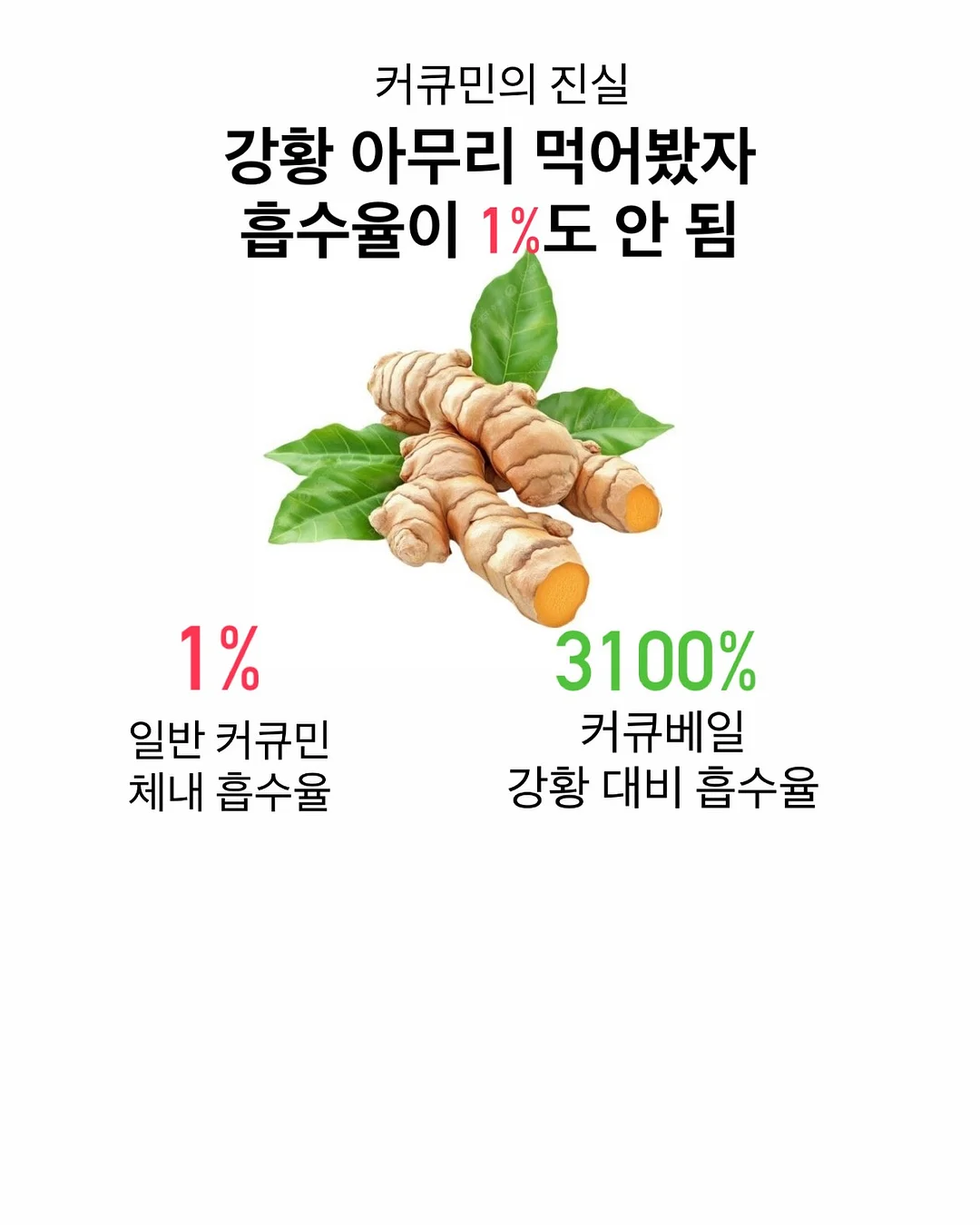 오우아 스튜디오 리틀토마토 셋업 9