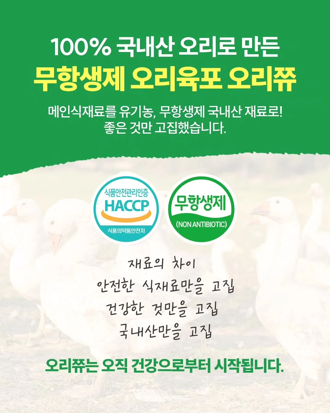 맥스컷 다이어트 세트 6