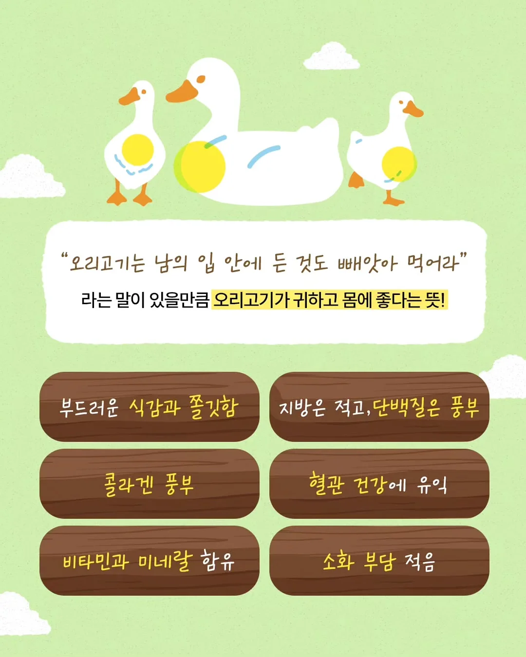 맥스컷 다이어트 세트 7