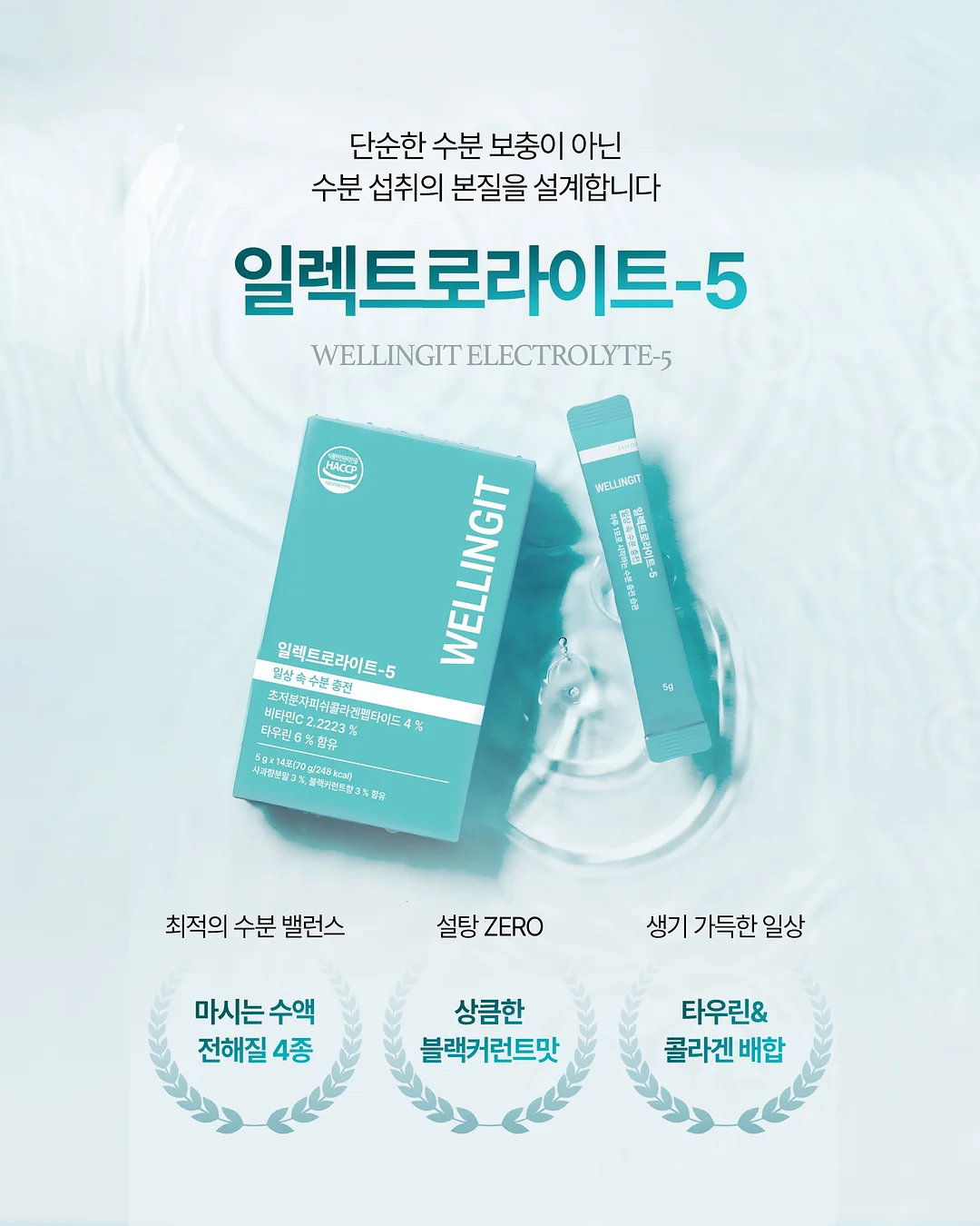 강아지 신발 2