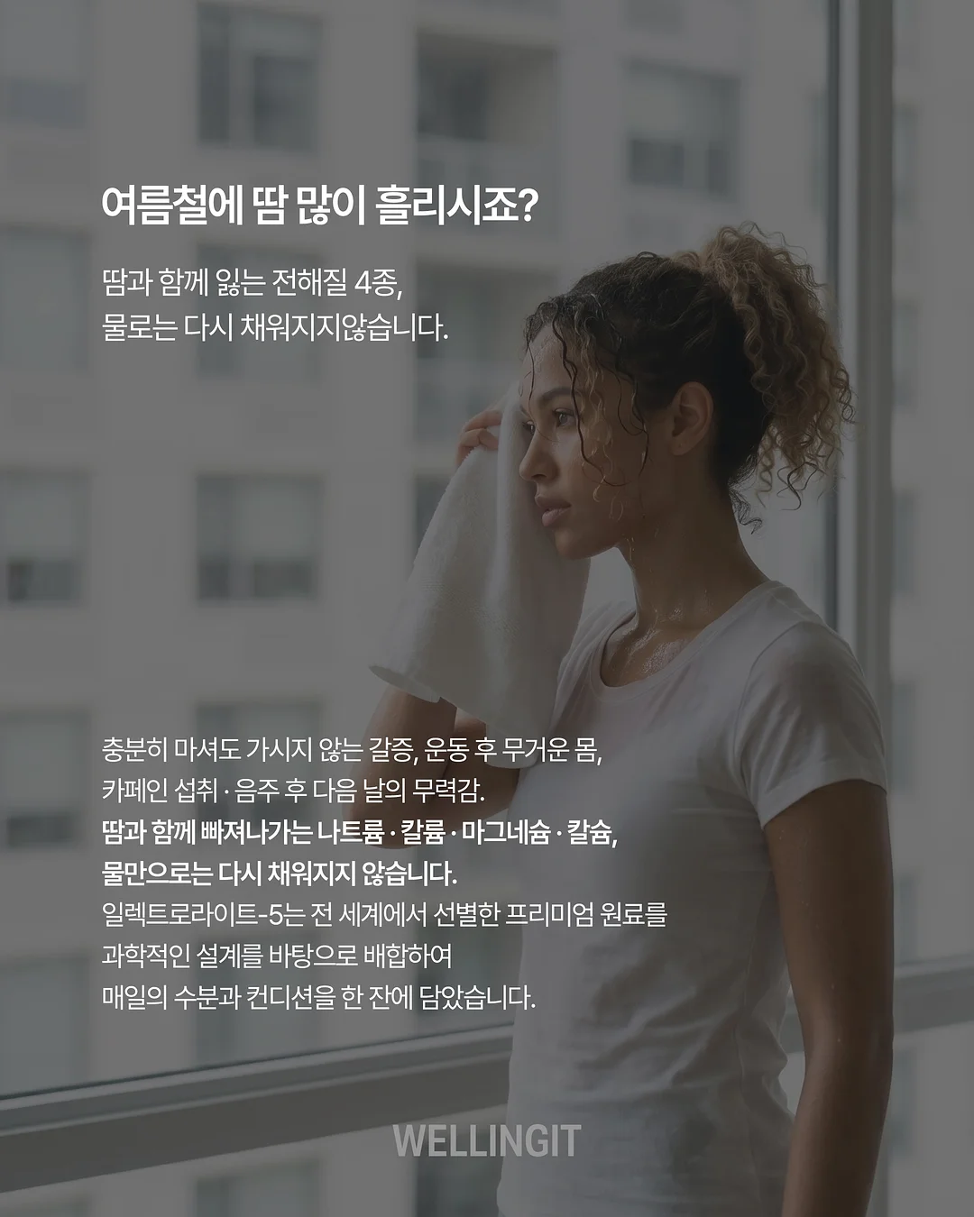 강아지 신발 3