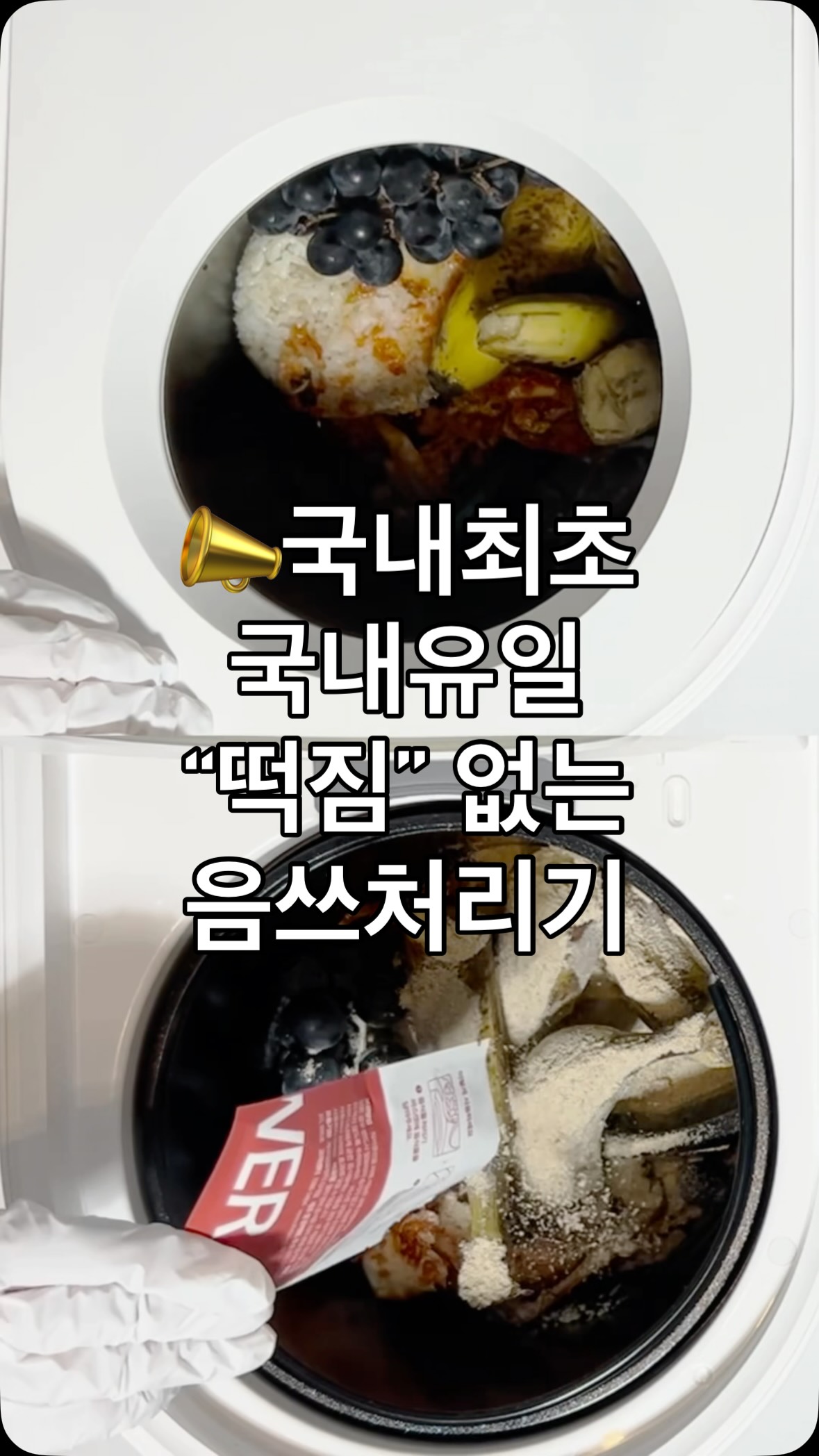 단가라 맨투맨티