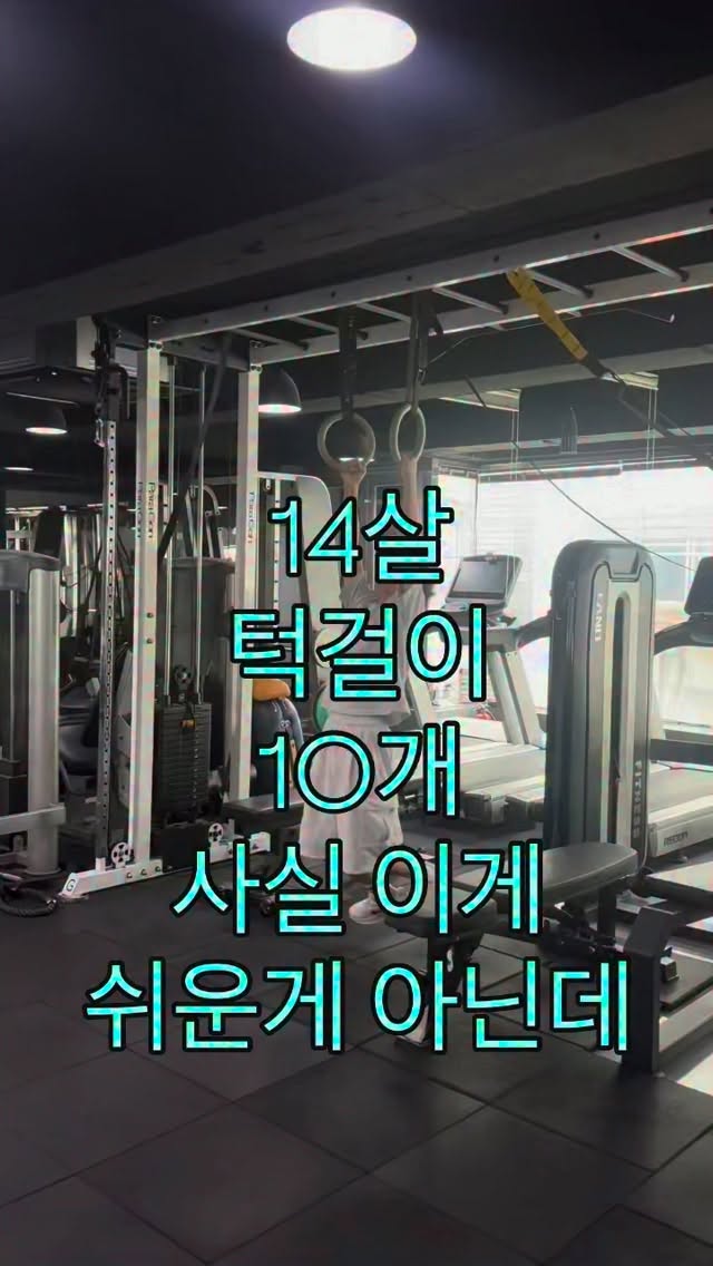 베이직 쉬폰 이중커튼
