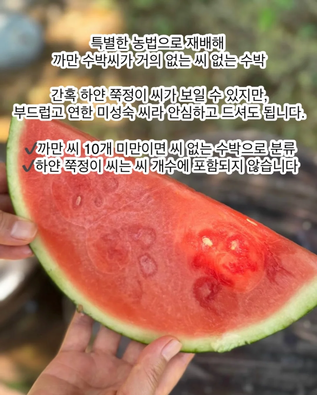 헤이덕 턱받이 5