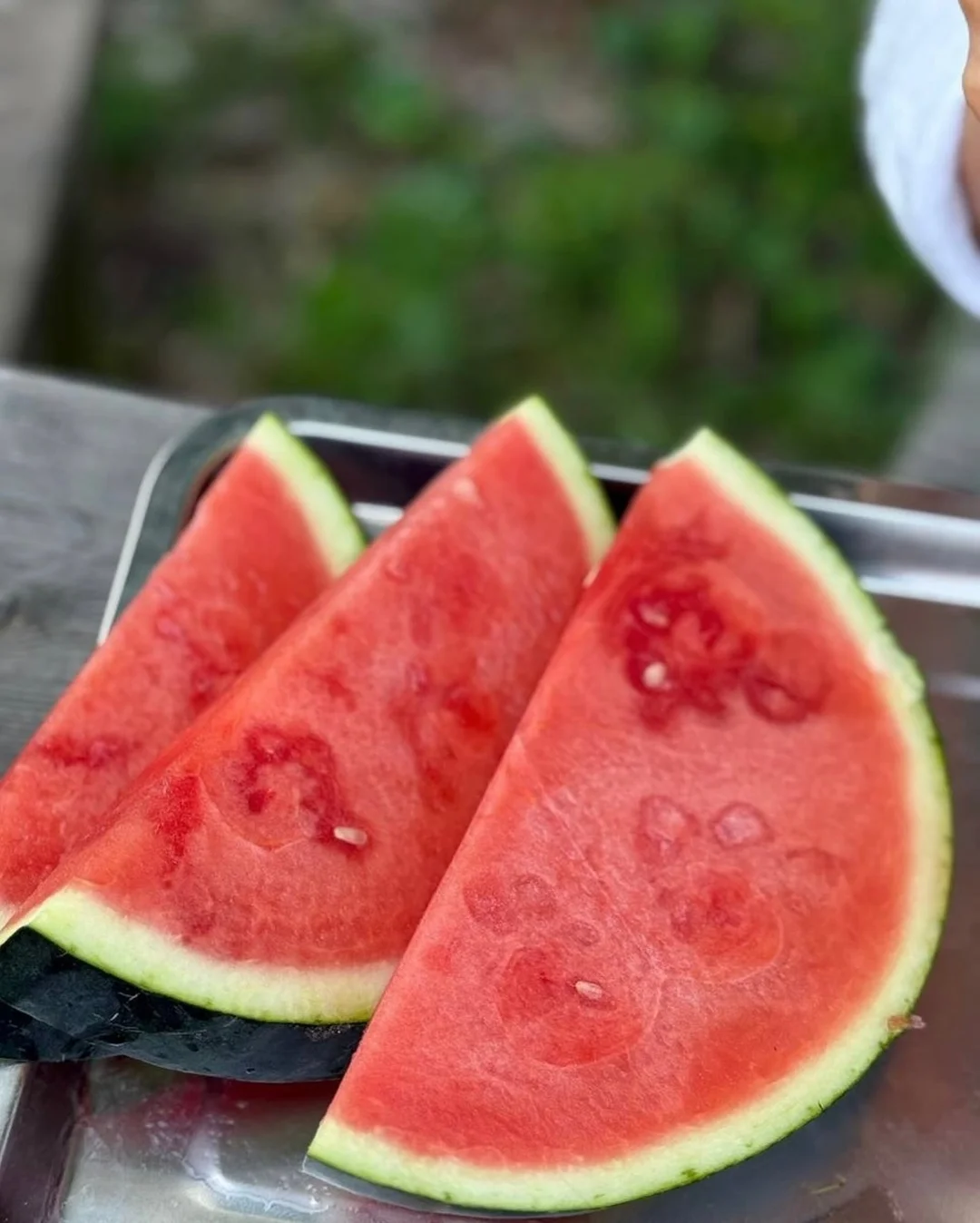 헤이덕 턱받이 7