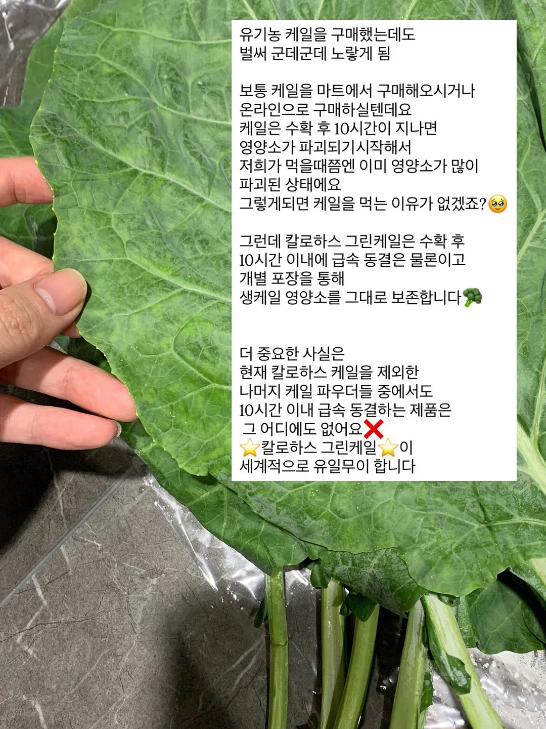 플랑, 파이, 케이크파이, 쿠키 5