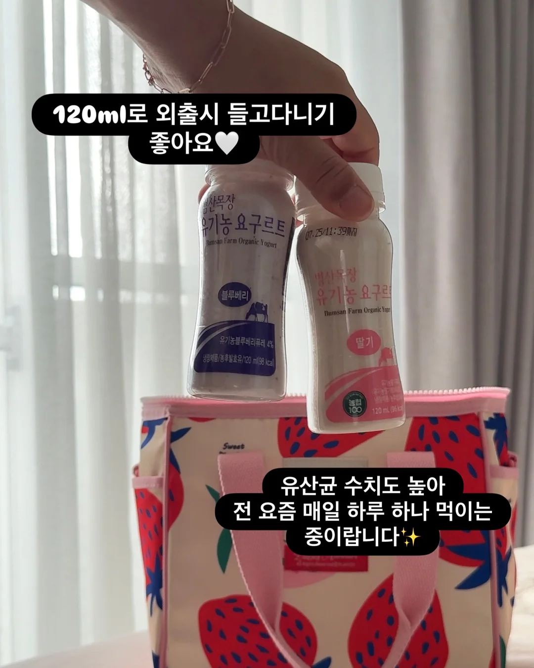 망고 11