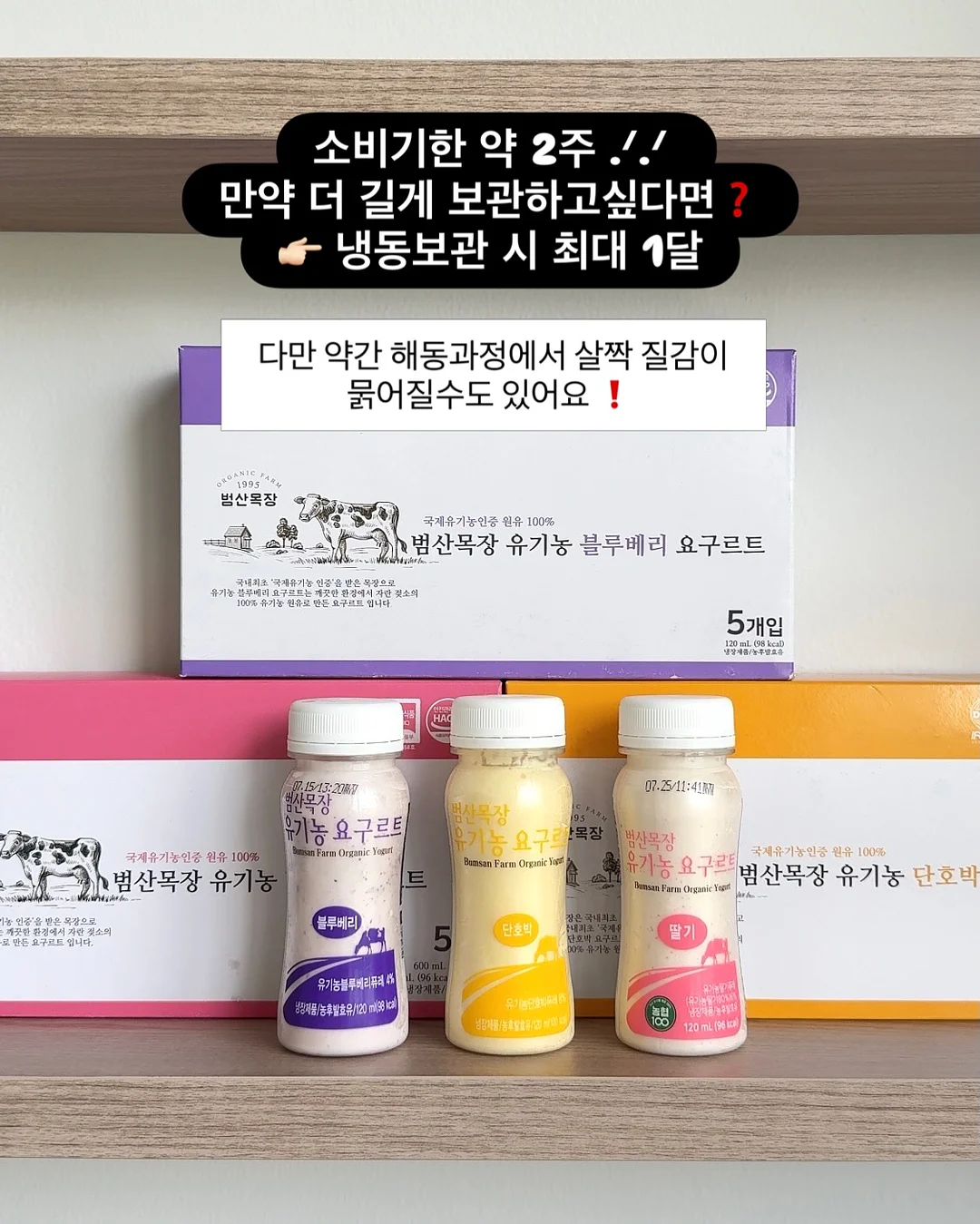망고 13
