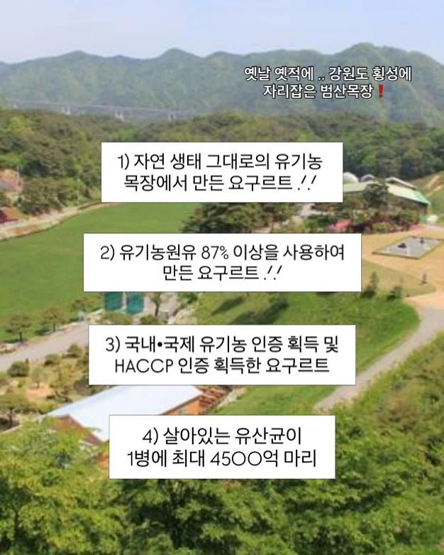 망고 4