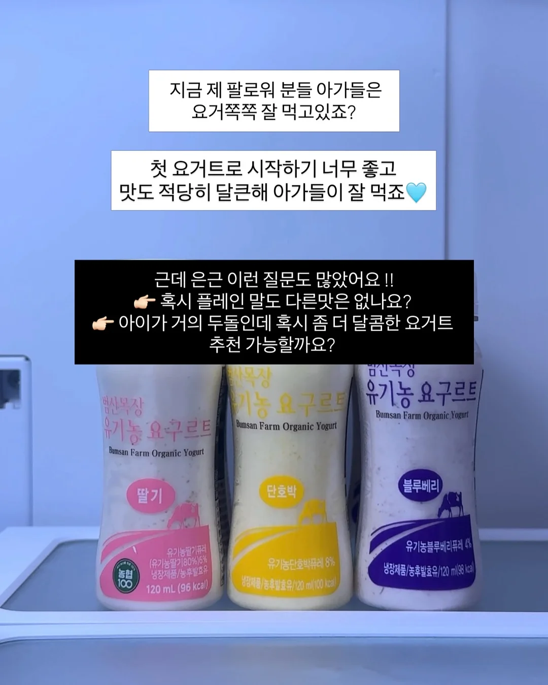 망고 6