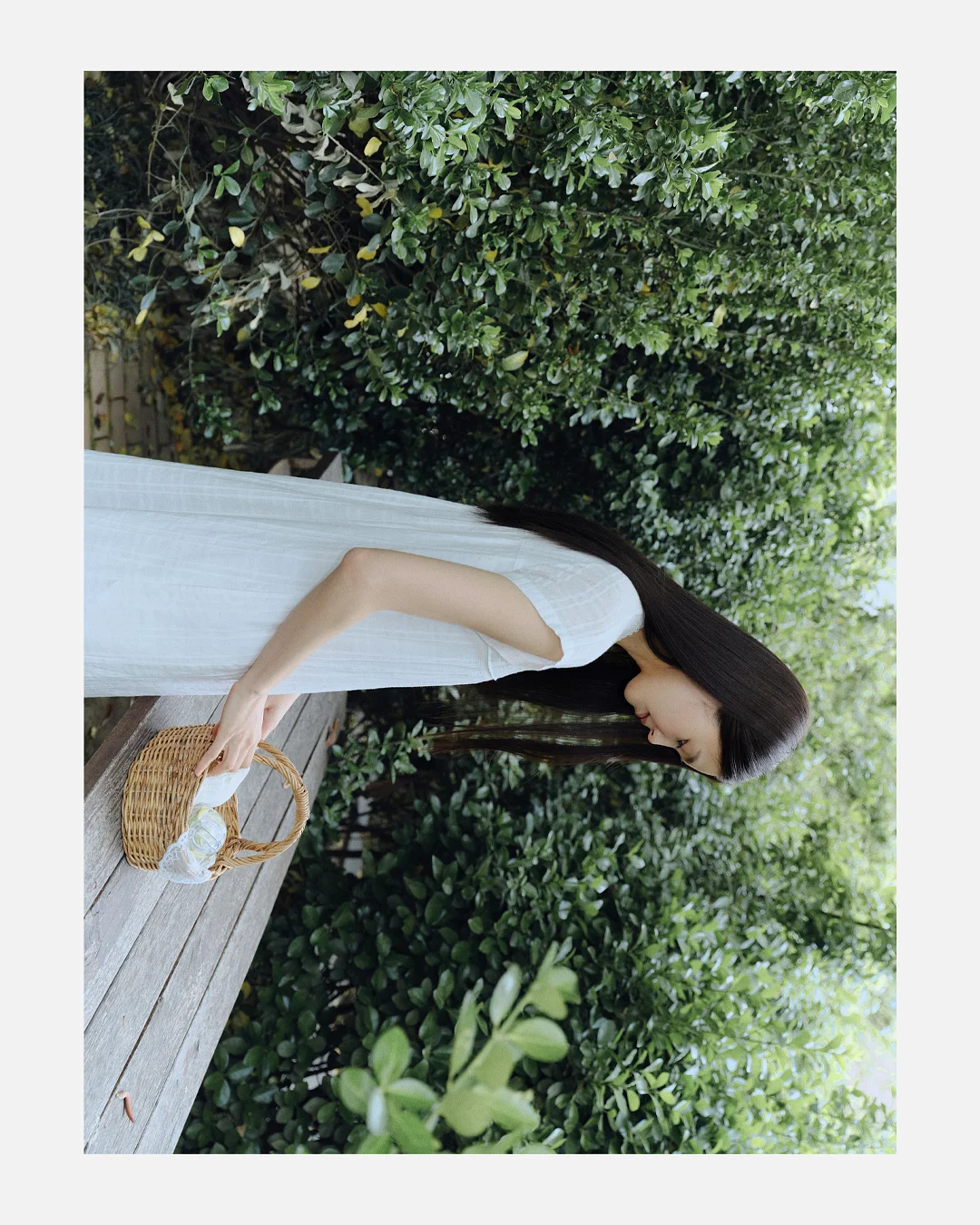 친환경 접시 4