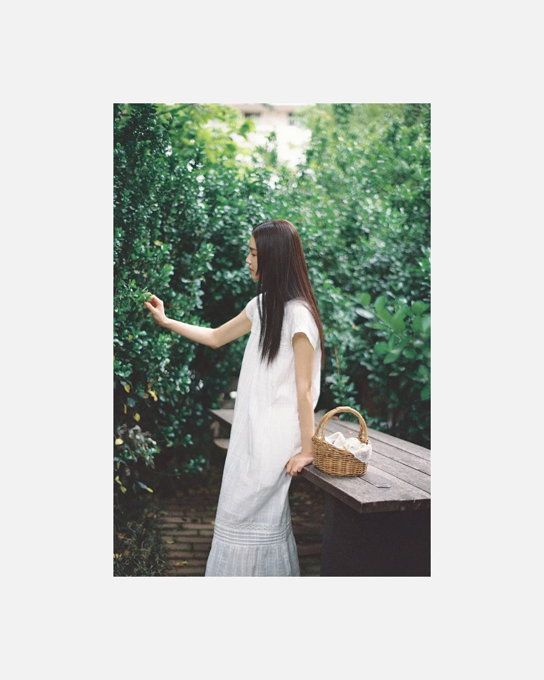 친환경 접시 6