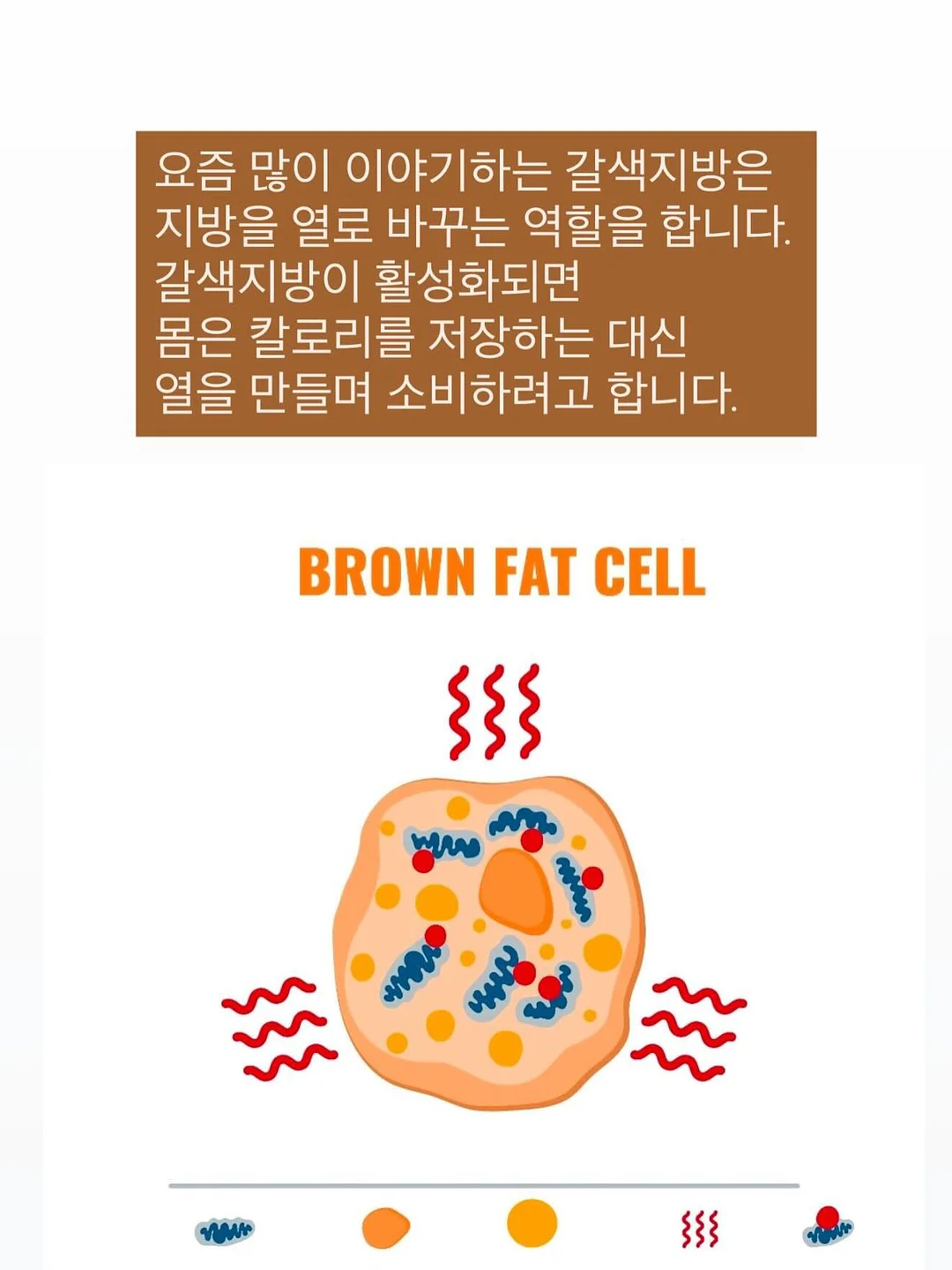 맘플루언서 기초반 5