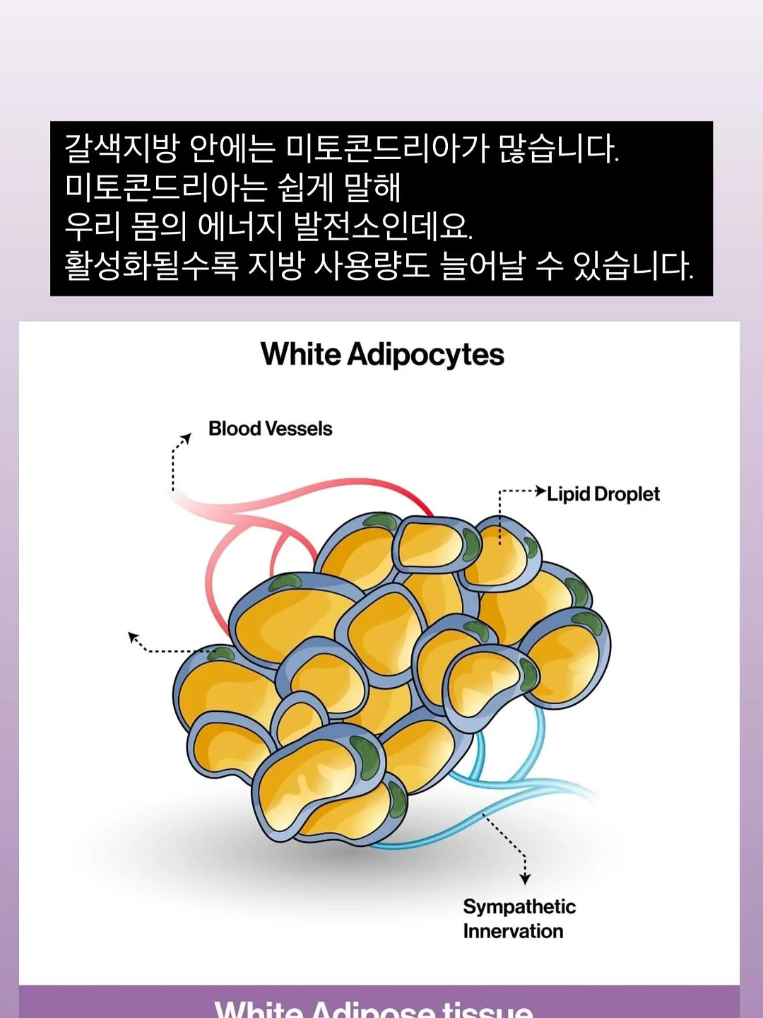 맘플루언서 기초반 6