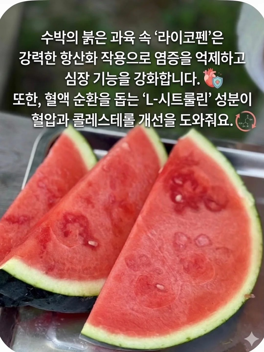 거즈 턱받이 5