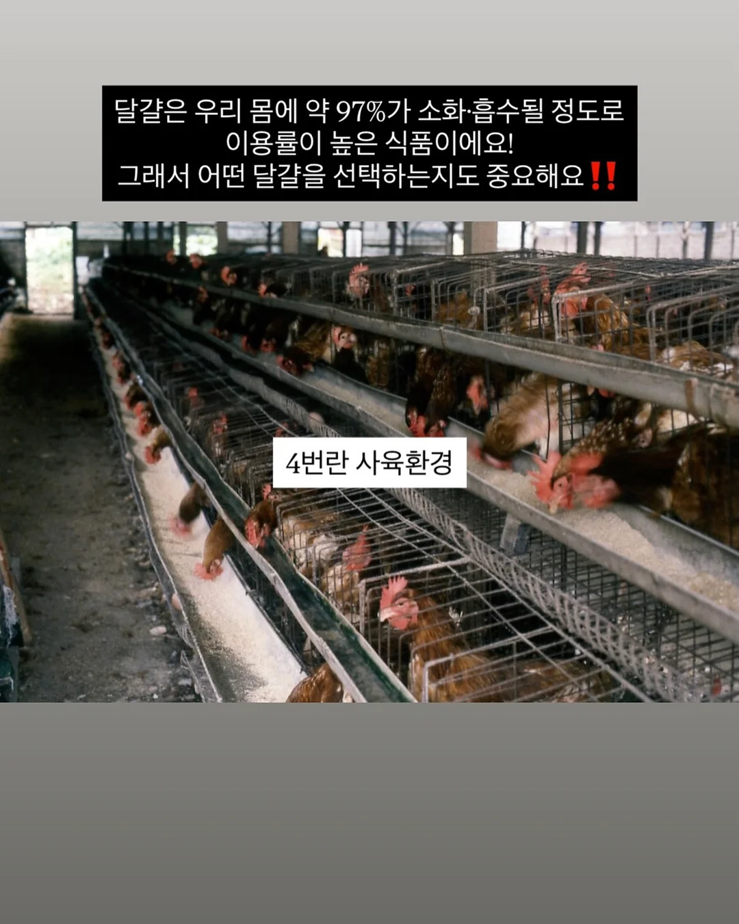 뒷사선 와이드청바지 4