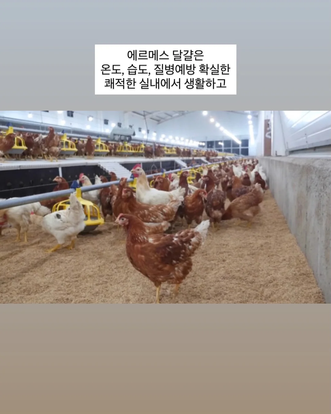 뒷사선 와이드청바지 5