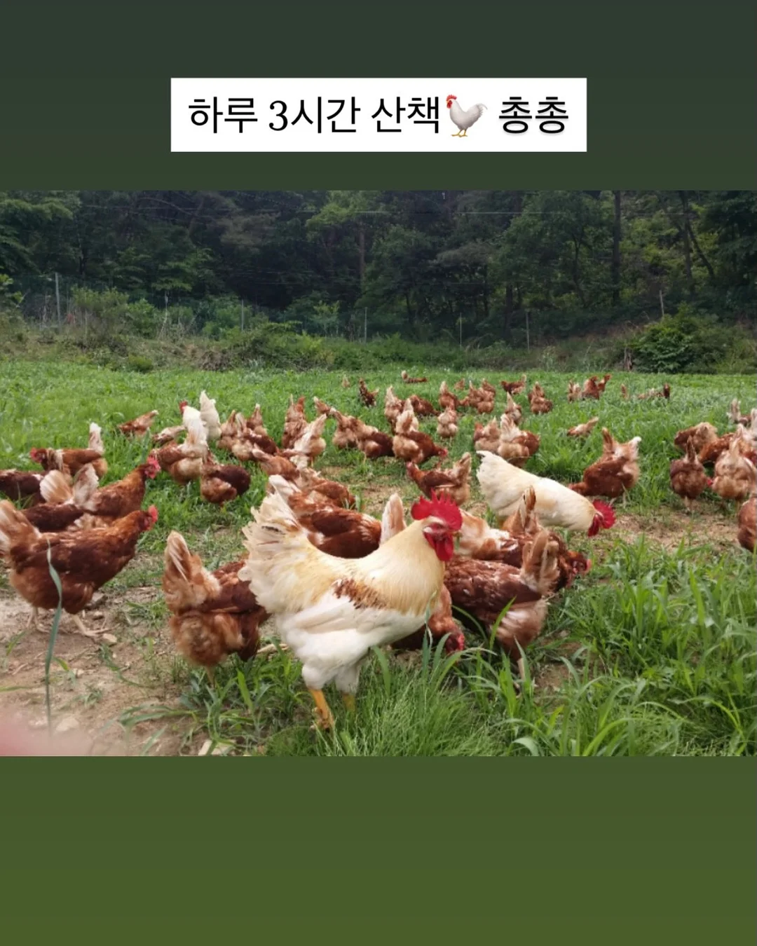 뒷사선 와이드청바지 6