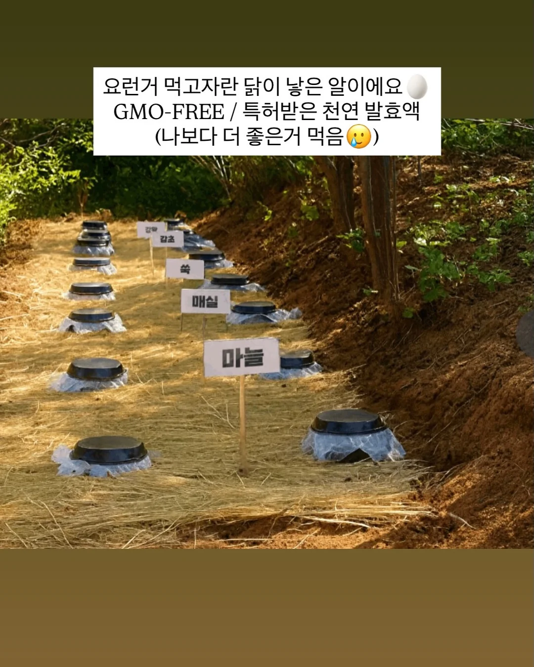 뒷사선 와이드청바지 7