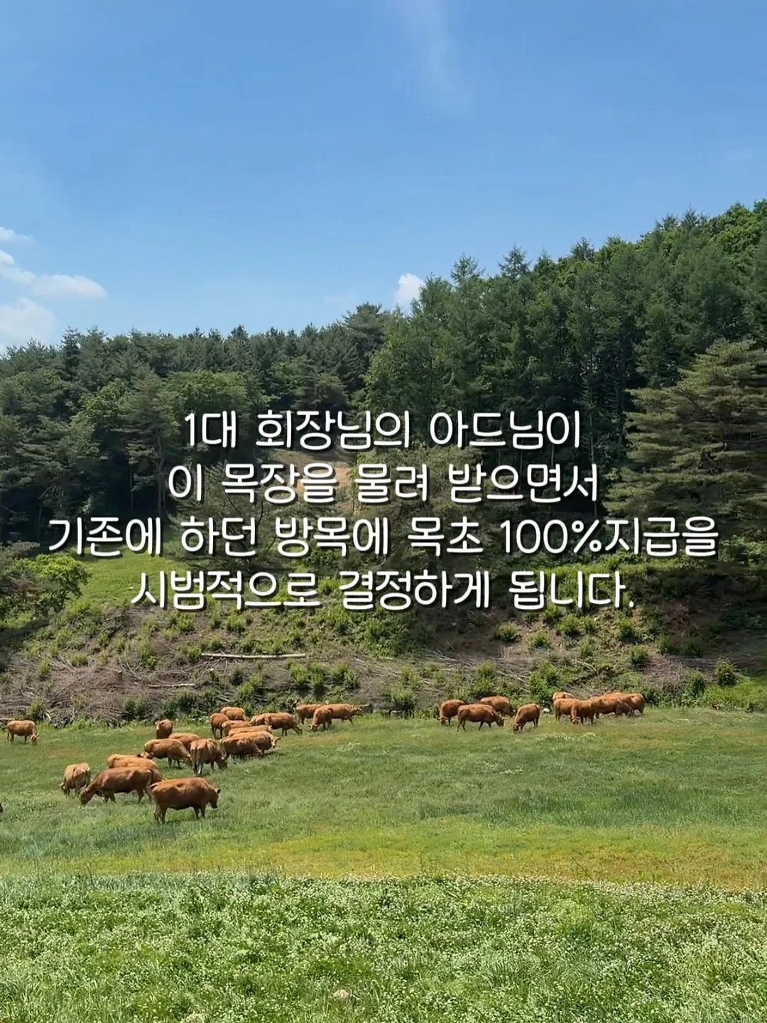 부르크뮐러 op.100 스티리아의 여인 악보 4