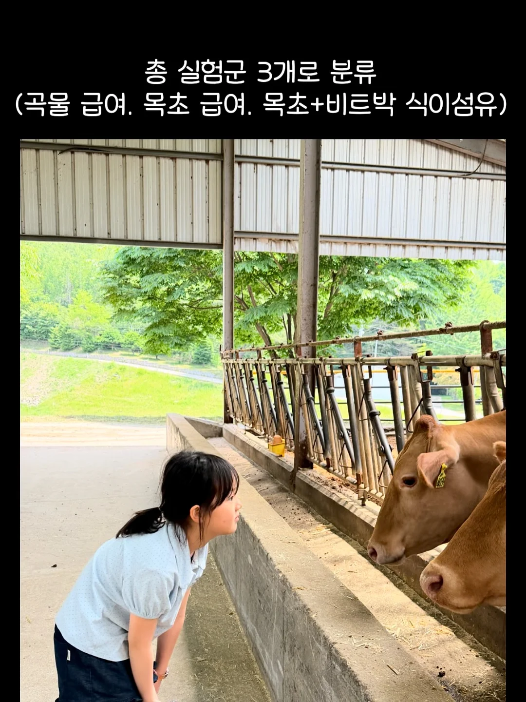 부르크뮐러 op.100 스티리아의 여인 악보 6