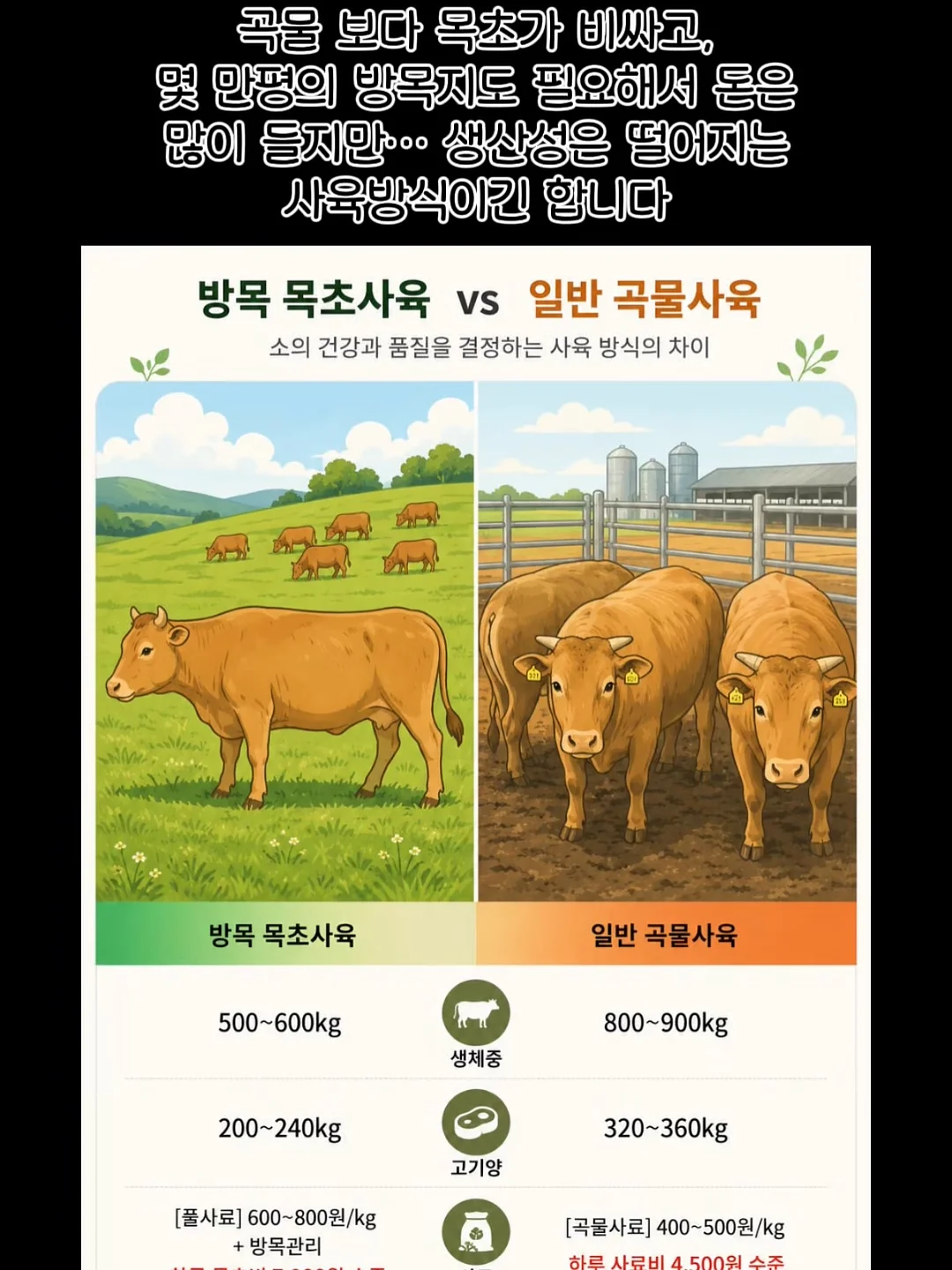 부르크뮐러 op.100 스티리아의 여인 악보 9