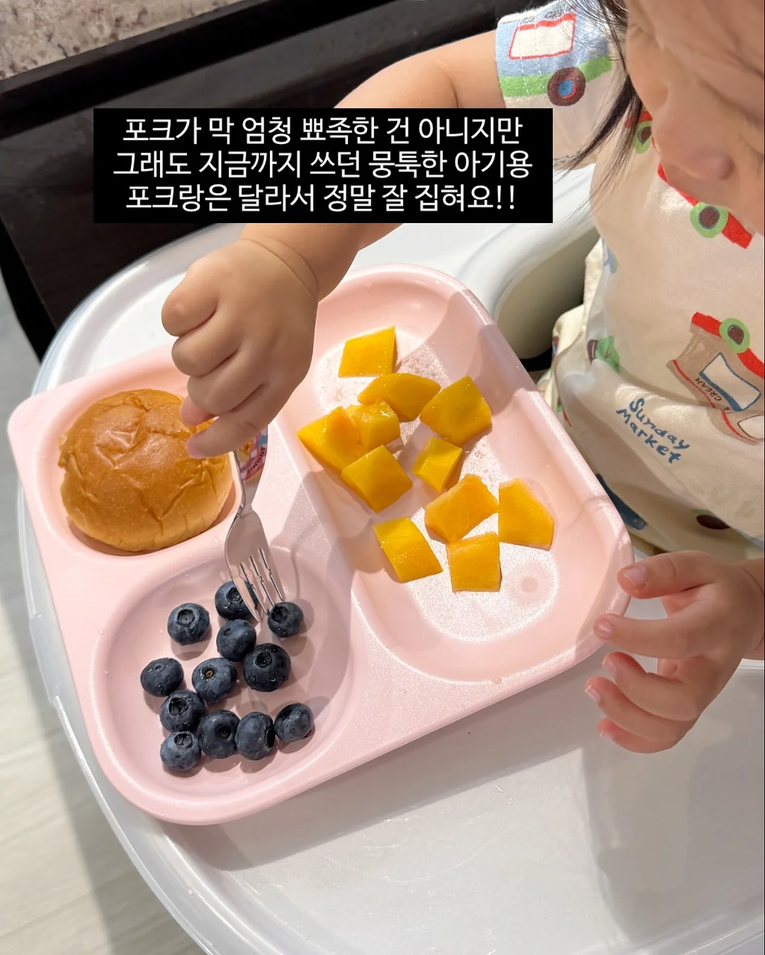 강아지 고양이 생일 광고판 9