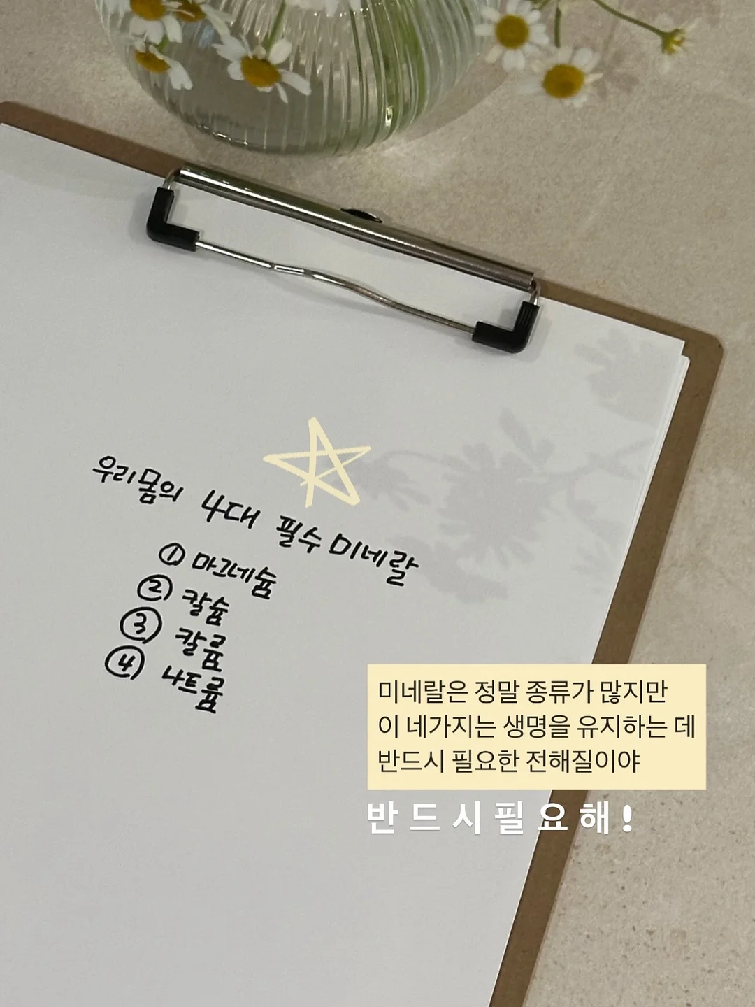 뮤지컬 <할머니의 여름휴가 : 씨씨상점> 2