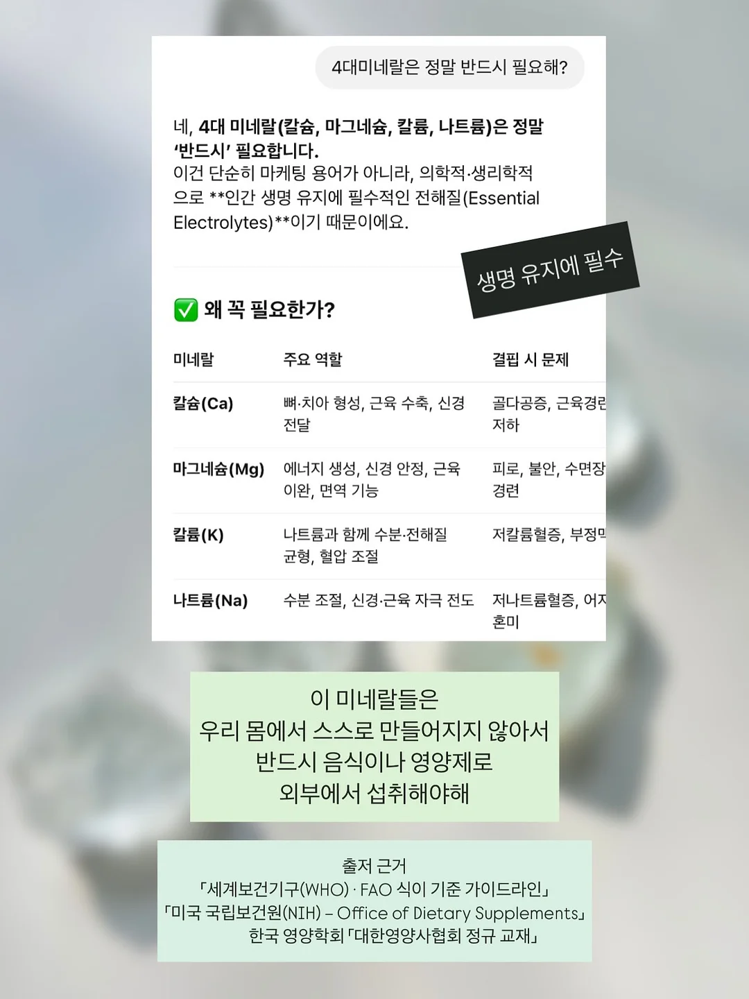 뮤지컬 <할머니의 여름휴가 : 씨씨상점> 3