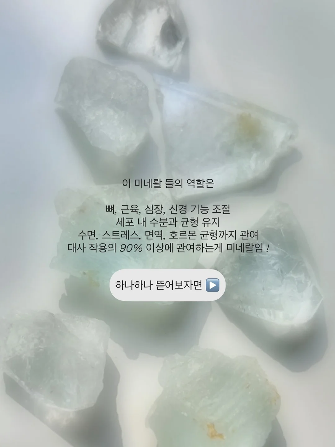 뮤지컬 <할머니의 여름휴가 : 씨씨상점> 5