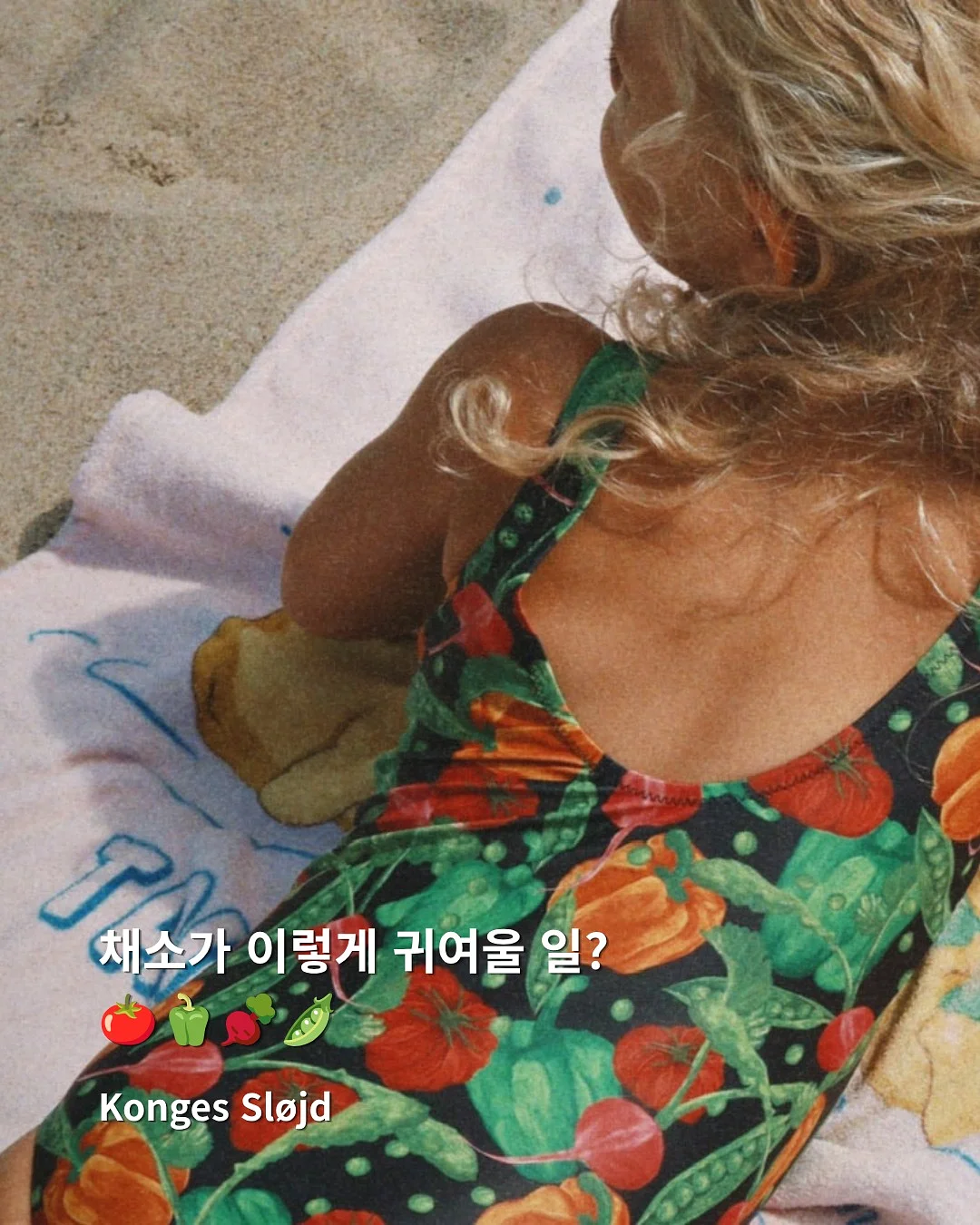 베르만&베르지아 캐리어 1