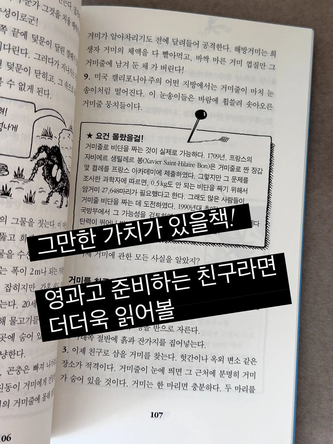 나일론 롤업 머슬 샤츠 5