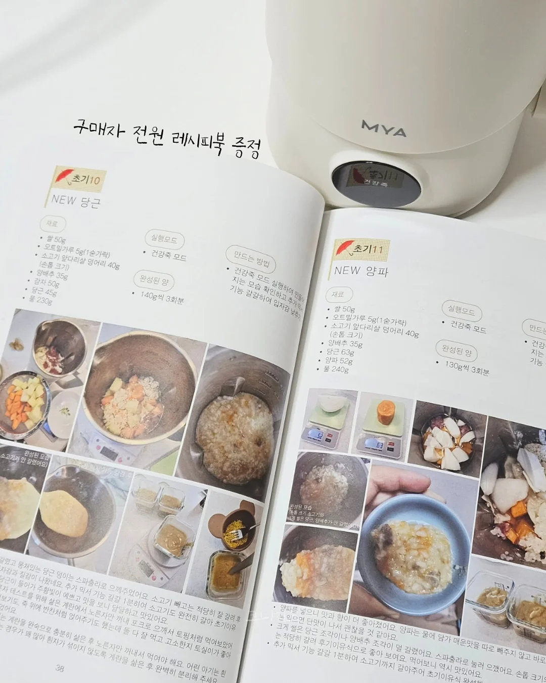 판타스틱 캠프닉 피크닉 1동 6