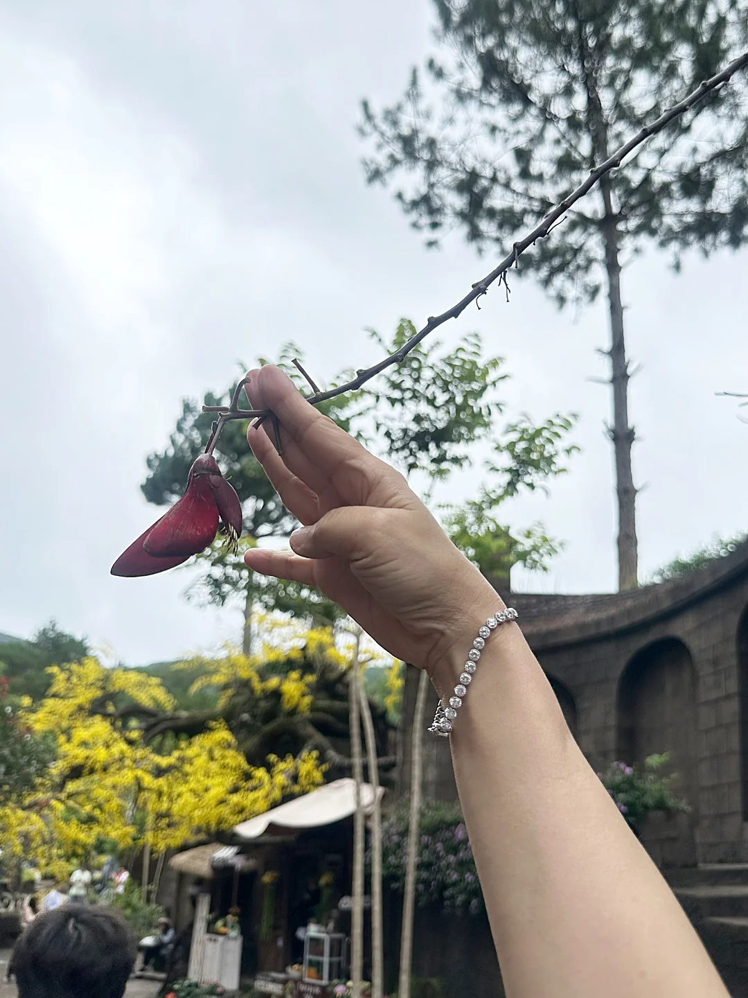로꽁 반팔 티셔츠 9