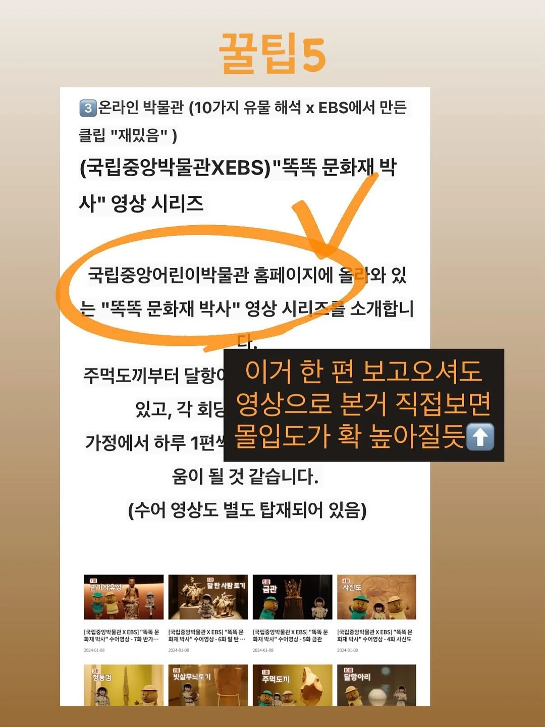 쉬젤 저압냄비 8