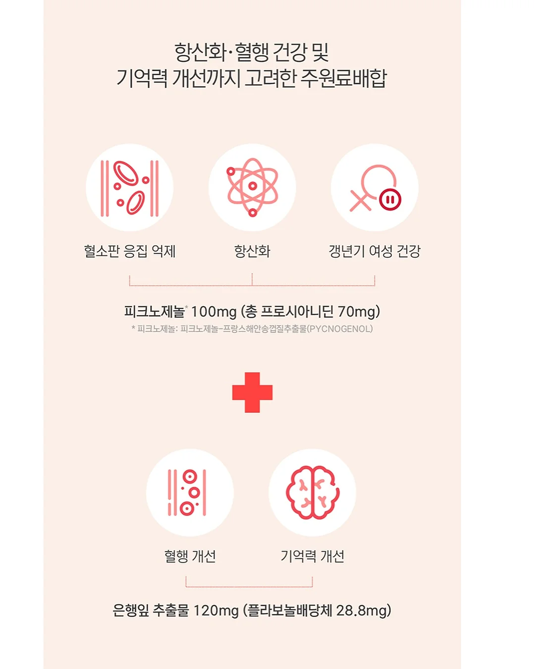 세미나실/회의실/대형세미나실 6