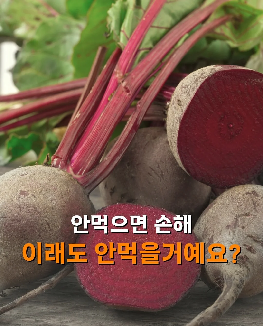 리얼 아카데미 영어 프로그램 1
