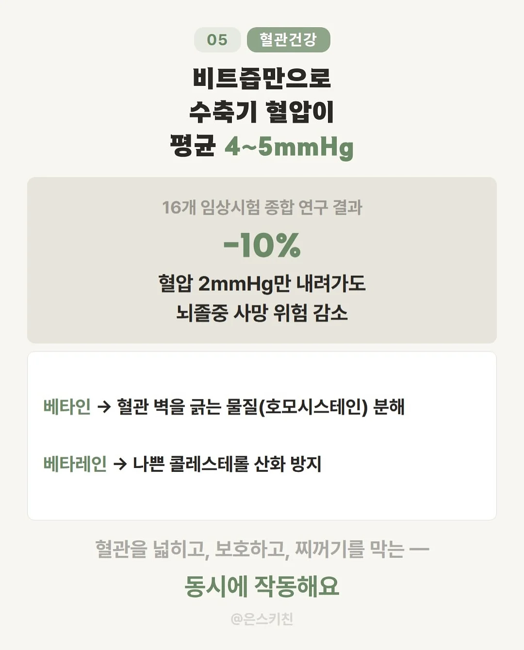리얼 아카데미 영어 프로그램 6