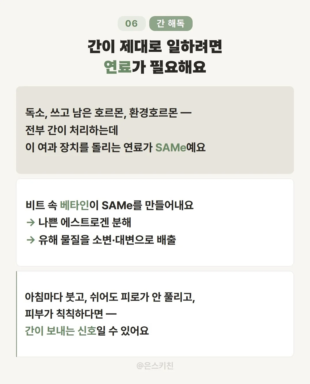 리얼 아카데미 영어 프로그램 7