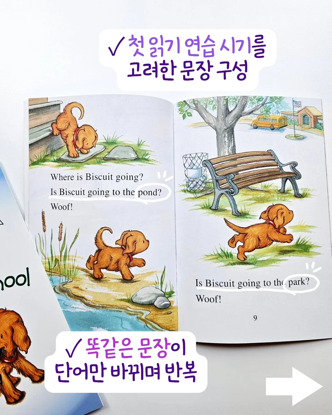 뉴케어 마이키즈 9