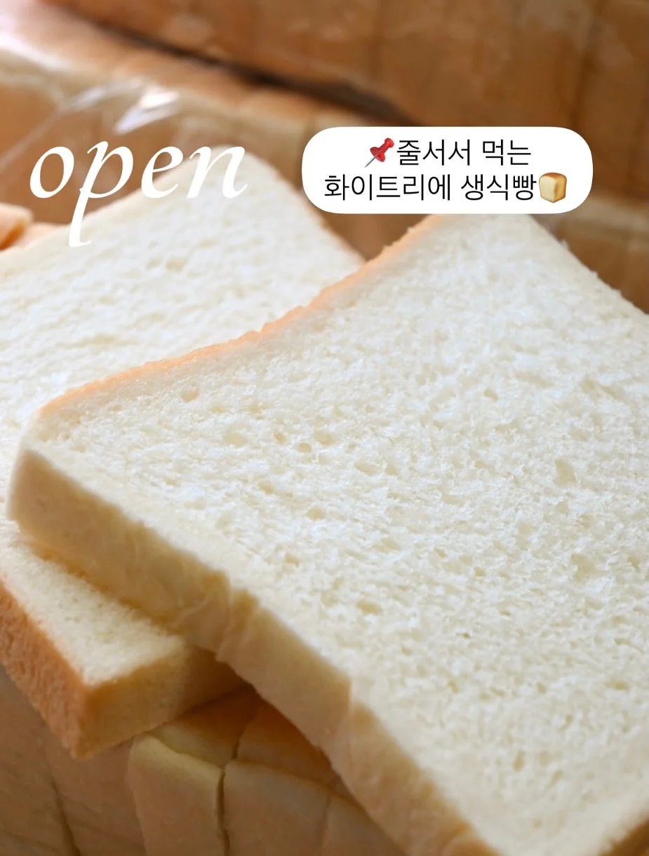 지오송지오 반팔 1