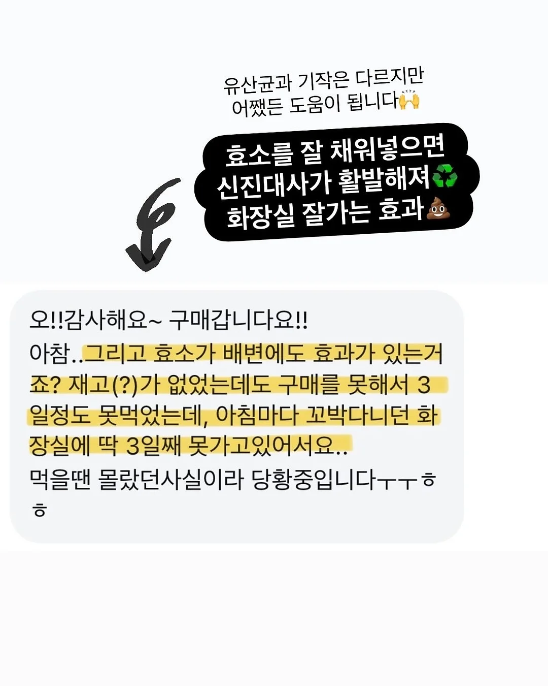 무늬몬스테라 11
