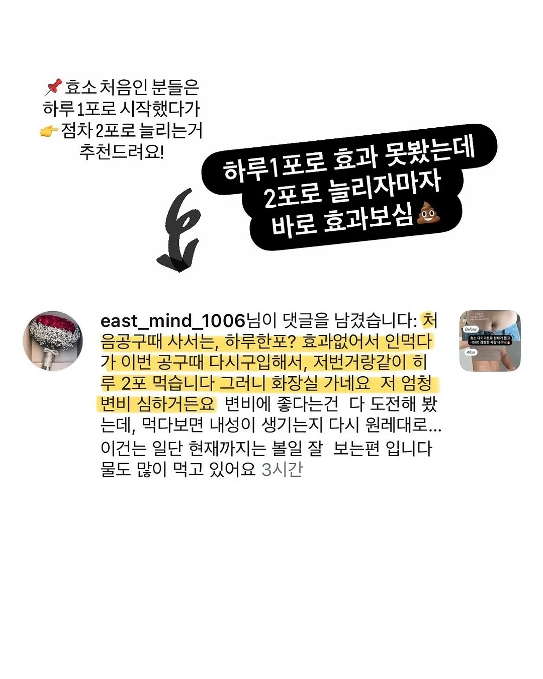 무늬몬스테라 12
