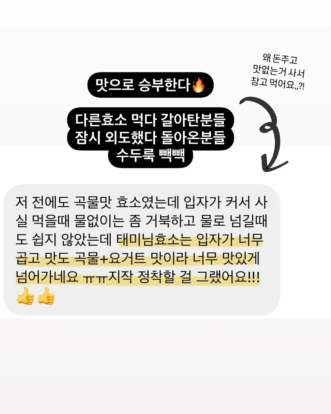 무늬몬스테라 13