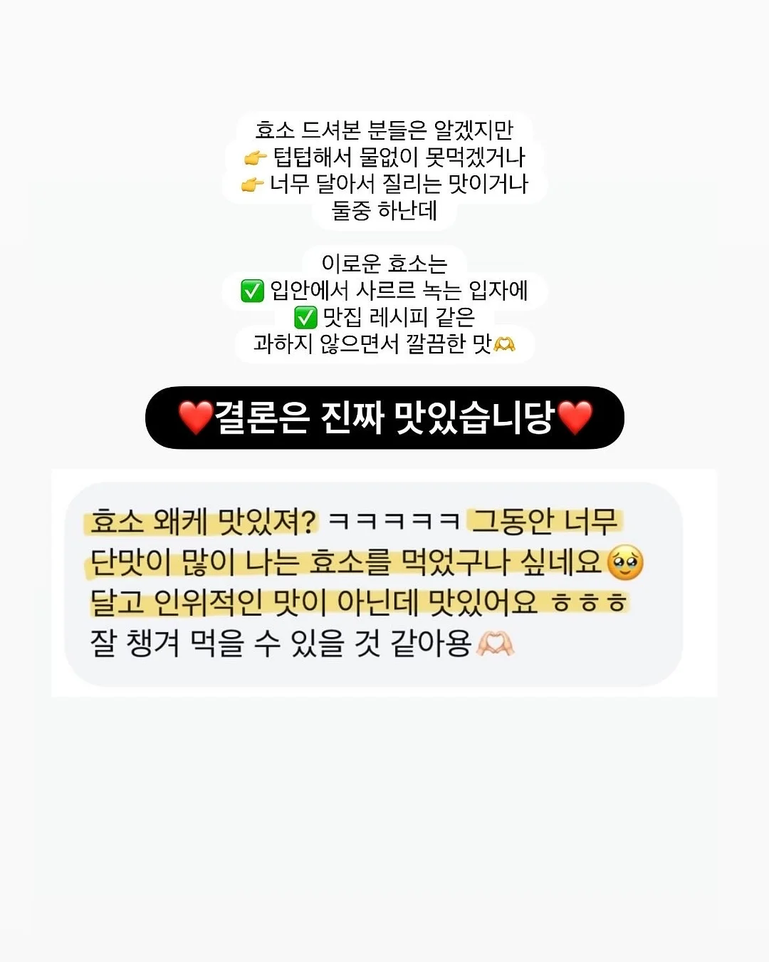 무늬몬스테라 14