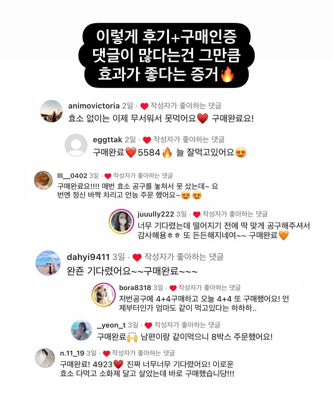 무늬몬스테라 15