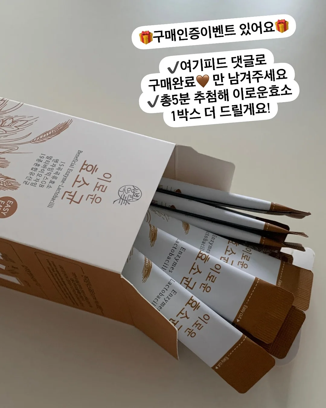 무늬몬스테라 2