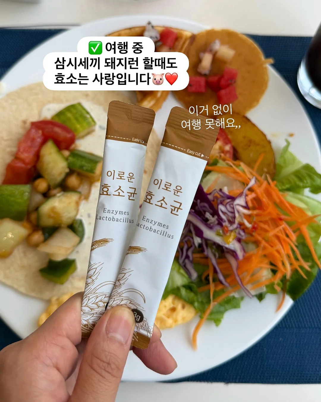무늬몬스테라 6