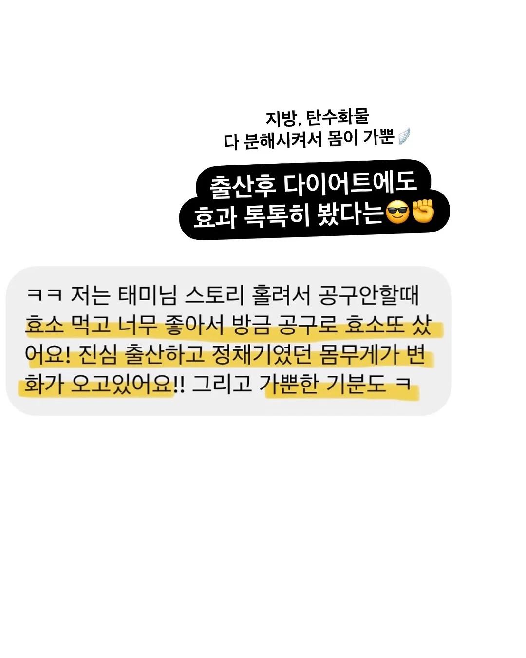 무늬몬스테라 8