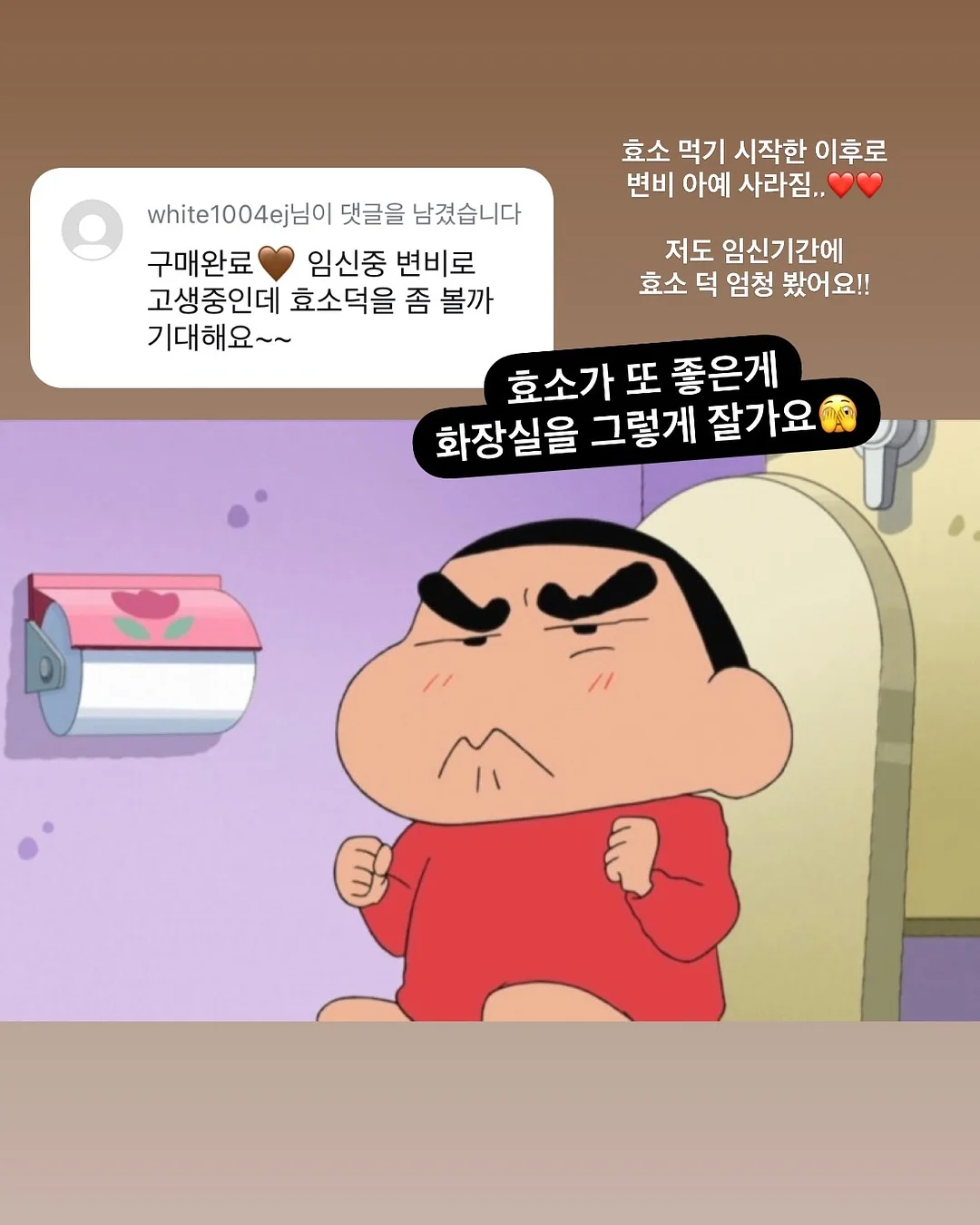 무늬몬스테라 10